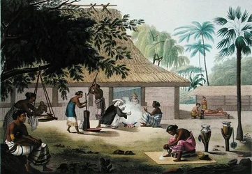 Indenlandske aktiviteter, Coupang, Timor, fra 