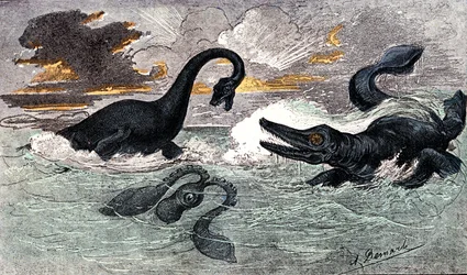 Lias-periode (nedre jura): Plesiosaur og Ichthyosaur, naturlig skabelse og levende væsener (af Jules Renegade) Tegning af A. Demarle. 1885