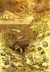 Esihistoria - Silurian ajan loppu: Luonnollinen luominen ja elävät olennot (J. Rengade) Piirustus A. Demarle. 1885