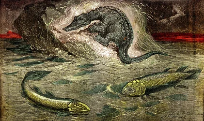 Overgang fra fisk til krybdyr: Proteosaur (øverst) krybdyr fra fisk, periode med kul. Holoptychius nederst til venstre og L