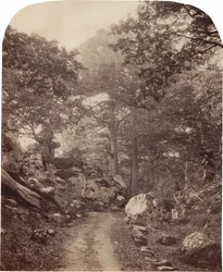 Fontainebleau, ca. 1860