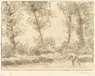 Banks of the Liane (Les bords de la Liane)
