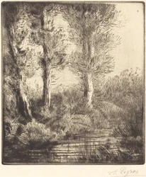 Saint-Pre-bredden (Rive du Saint-Pre)