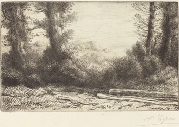 Kant af et træ Lisiere de bois.