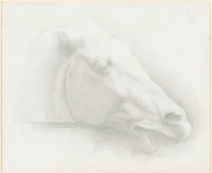 Hoved af en hest fra Parthenon, 1898.