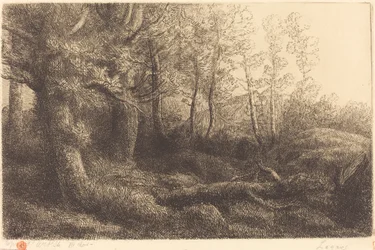 I skoven (Lisiere de foret)
