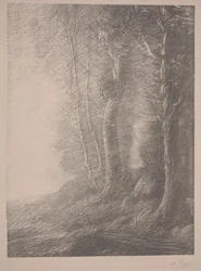 Landskab (litho)