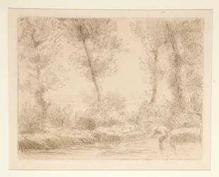 Les bords de la Liane (Lianens bredder)