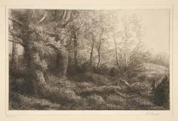 skovbryn