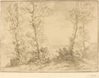 Laksefisker