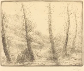 Lille Sø
