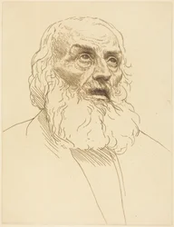 Study of an Old Man (Studie af en gammel mand)