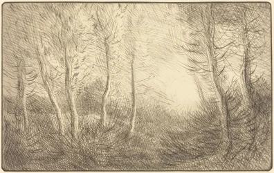 Solopgang, skovene ved Clamard