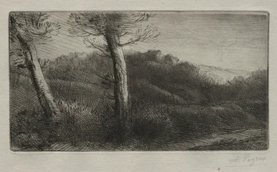 Den rejsende strakt ud på græsset, ca. 1888.