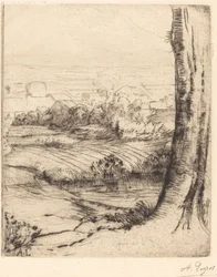 Udsigt over siv (Coin de roseau)