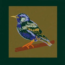 Livlig stær-siddeplads