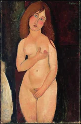 Venus eller stående nøgen eller nøgen Medici; Venus