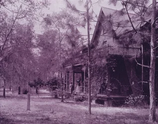 Et hjem i skyggen af Southern Pines, Florida (s/h-billede)