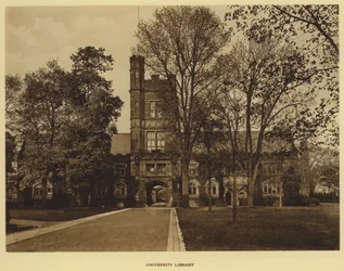 Princeton University: University Library (s/h-billede)