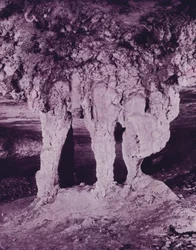 Brudealteret, Mammoth Cave (s/h-billede)