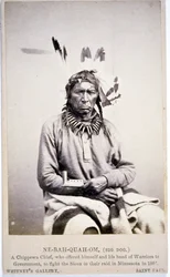 NE-BAH-QUAH-OM, Big Dog, Chippewa Chief, tilbød at kæmpe mod Sioux i Minnesota