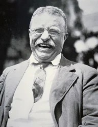 Præsident Theodore Roosevelt, ca. 1917 (s/h-foto)