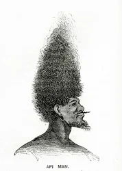 Api Man, illustration fra Appletons Journal, 4. maj 1872
