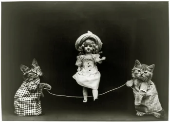 Cat curiousity, 1891