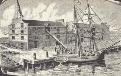 Første forsendelse af hvede fra Chicago lager, Newberry & Dole