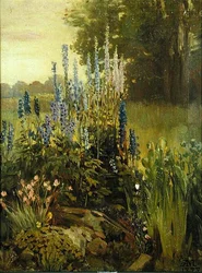 Stokroser