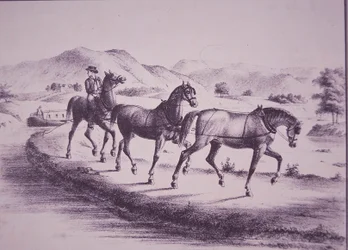 Heste trækker en kanalbåd på Erie Canal (gravering)