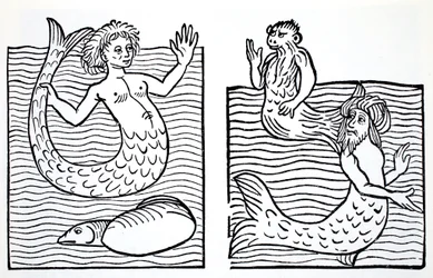 Havfruer og havmænd, fra The World Guide to Gnomes, Fairies, Elves and Other Little People af Thomas Keightley (1789-1872), udgivet 1880