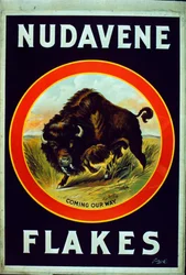 Nudavene flager