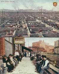 Postkort, der viser lagergårdene og slagterierne i Chicago og arbejdere med frokostspande på deres pause i Whisky Row, ca. 1910 (farvet foto)