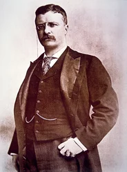 Præsident Theodore Roosevelt (litho)