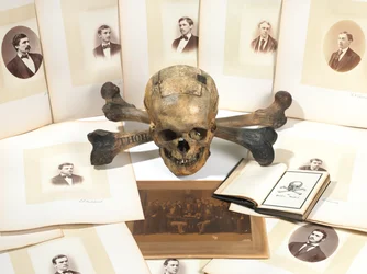 Skull-and-Bones stemmeurn