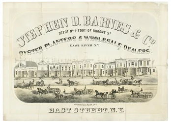 Stephen D. Barnes & Co. Oyster Planters & Engros-forhandlere, depotnr. 4 fod fra Broome Street