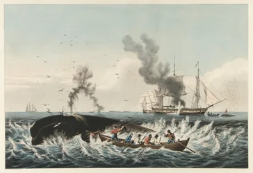The Whale Fishery - Angreb på en 