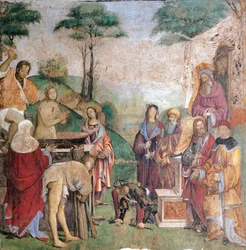 Sankt Cecilias martyrium, af Amico Aspertini (1474 eller 1475-1552), freskomaleri, Santa Cecilias oratorium (St. Cecilia), Bologna, Emilia-Romagna. Italien