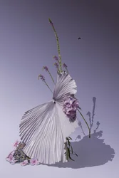Ikebana 01, 2018 (fotografi)