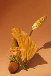 Ikebana 02, 2018 (fotografi)