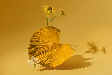 Ikebana 05, 2018 (fotografi)