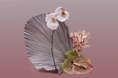 Ikebana 12, 2018 (fotografering)