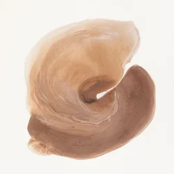 Økologisk brun marmorering