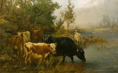 Køer ved vandet