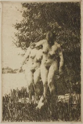 Alder