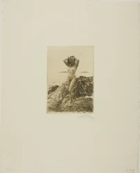 Hårtång (Havved-krans)