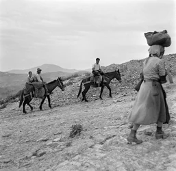 Landmænd på vej hjem fra markerne i Lucania, Basilicata, Italien