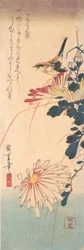 A Wren og krysantemum, ca. 1830., ca. 1830.