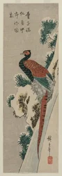 Kobberfasan ved Snowy Waterfall, slutningen af 1830